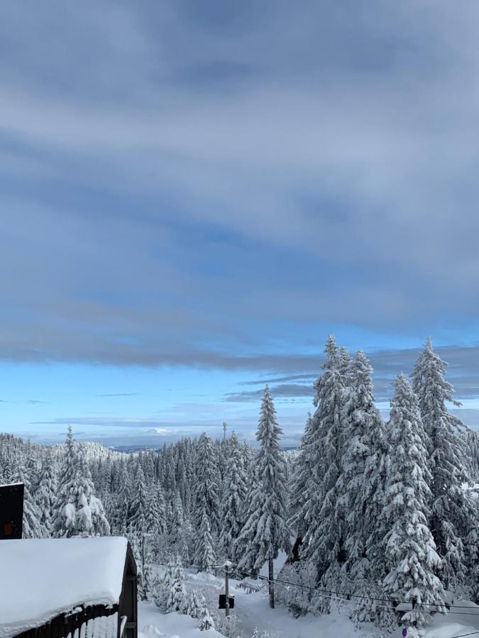 Forresto Apartmani Jahorina Zewnętrze zdjęcie